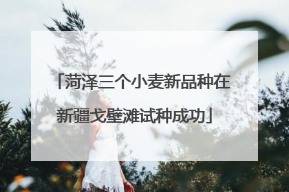 菏泽三个小麦新品种在新疆戈壁滩试种成功