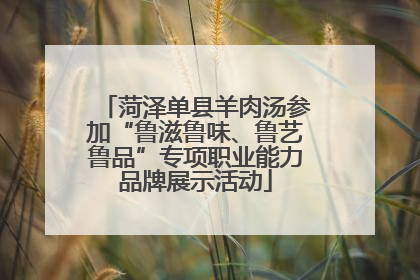 菏泽单县羊肉汤参加“鲁滋鲁味、鲁艺鲁品”专项职业能力品牌展示活动