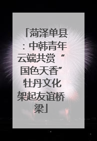 菏泽单县：中韩青年云端共赏“国色天香” 牡丹文化架起友谊桥梁