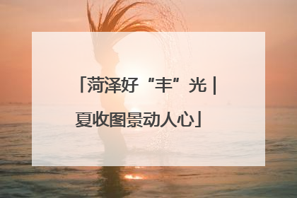 菏泽好“丰”光｜夏收图景动人心