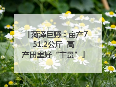 菏泽巨野：亩产751.2公斤  高产田里好“丰景”