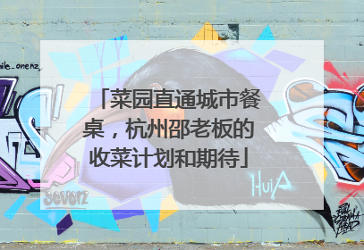 菜园直通城市餐桌，杭州邵老板的收菜计划和期待
