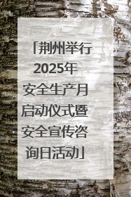 荆州举行2025年安全生产月启动仪式暨安全宣传咨询日活动