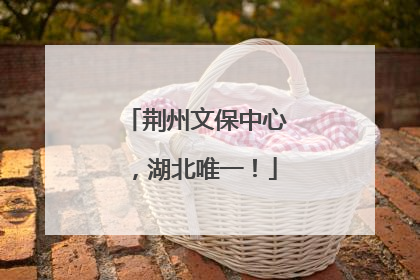 荆州文保中心，湖北唯一！