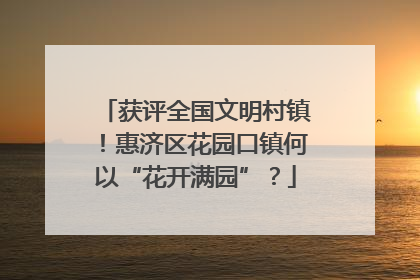 获评全国文明村镇！惠济区花园口镇何以“花开满园”？