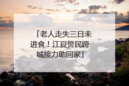 老人走失三日未进食！江夏警民跨城接力助回家