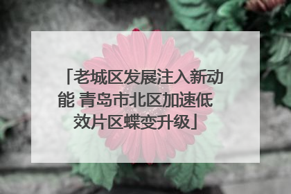 老城区发展注入新动能 青岛市北区加速低效片区蝶变升级