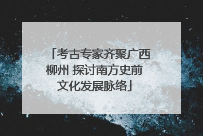 考古专家齐聚广西柳州 探讨南方史前文化发展脉络