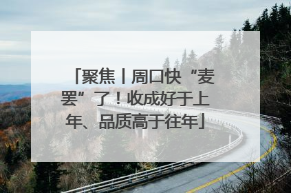 聚焦丨周口快“麦罢”了！收成好于上年、品质高于往年