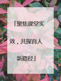聚焦课堂实效，共探育人新路径