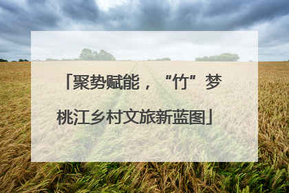 聚势赋能，“竹”梦桃江乡村文旅新蓝图