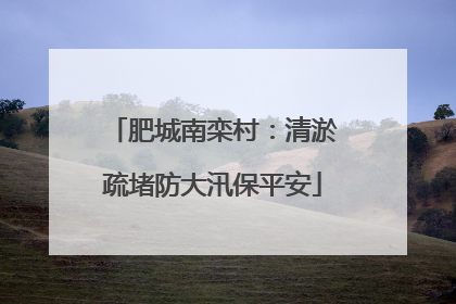肥城南栾村：清淤疏堵防大汛保平安