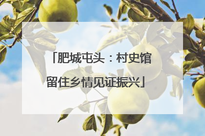 肥城屯头：村史馆留住乡情见证振兴