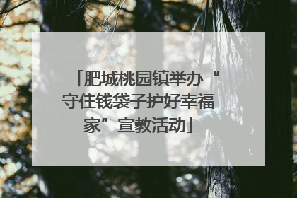 肥城桃园镇举办“守住钱袋子护好幸福家”宣教活动