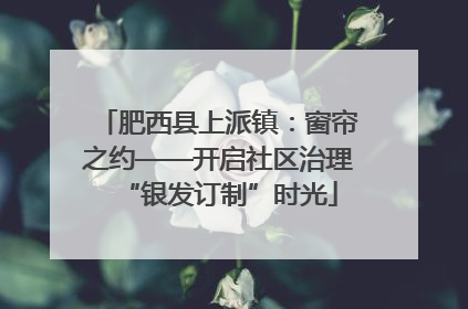 肥西县上派镇：窗帘之约——开启社区治理“银发订制”时光