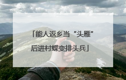 能人返乡当“头雁” 后进村蝶变排头兵