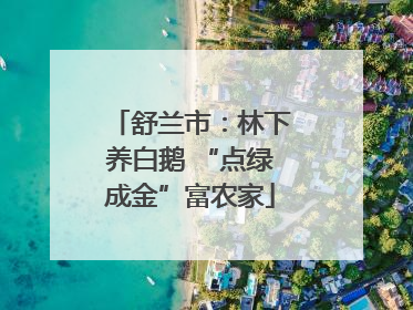 舒兰市：林下养白鹅 “点绿成金”富农家