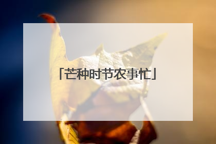 芒种时节农事忙