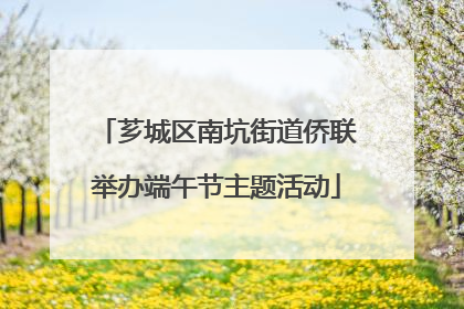 芗城区南坑街道侨联举办端午节主题活动