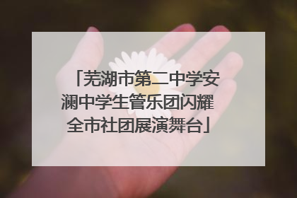 芜湖市第二中学安澜中学生管乐团闪耀全市社团展演舞台