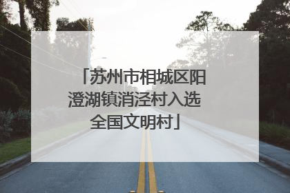 苏州市相城区阳澄湖镇消泾村入选全国文明村