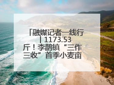 融媒记者一线行丨1173.53斤！李鹊镇“三作三收”首季小麦亩产创新高