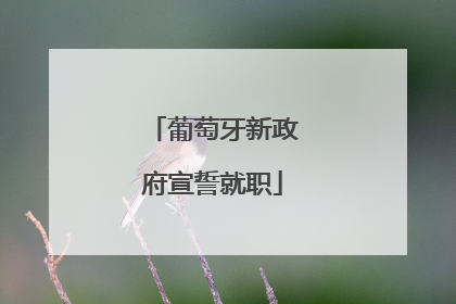 葡萄牙新政府宣誓就职