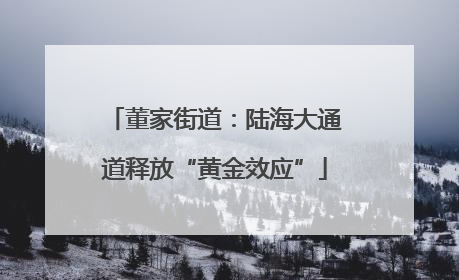 董家街道：陆海大通道释放“黄金效应”