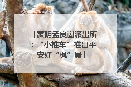 蒙阴孟良崮派出所：“小推车”推出平安好“枫”景