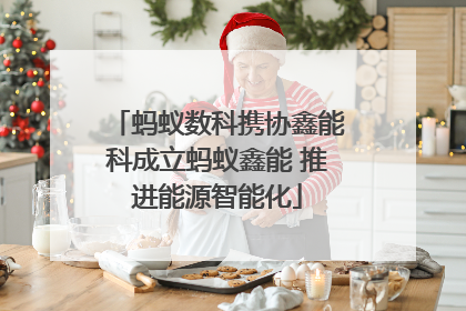 蚂蚁数科携协鑫能科成立蚂蚁鑫能 推进能源智能化