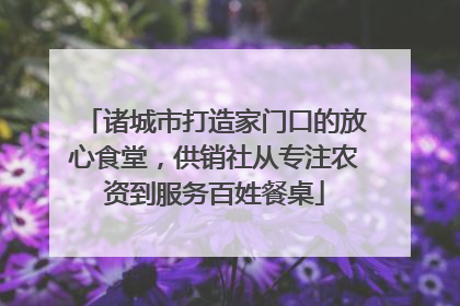 诸城市打造家门口的放心食堂，供销社从专注农资到服务百姓餐桌