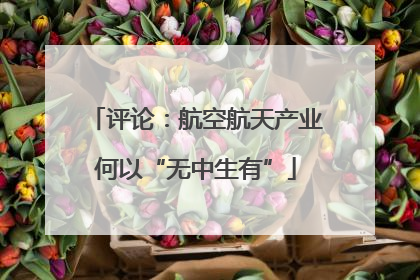 评论：航空航天产业何以“无中生有”