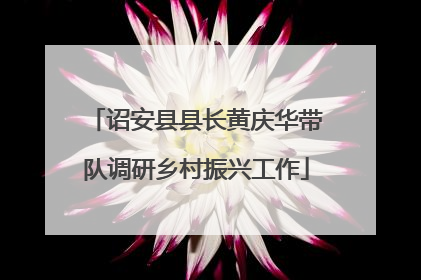 诏安县县长黄庆华带队调研乡村振兴工作