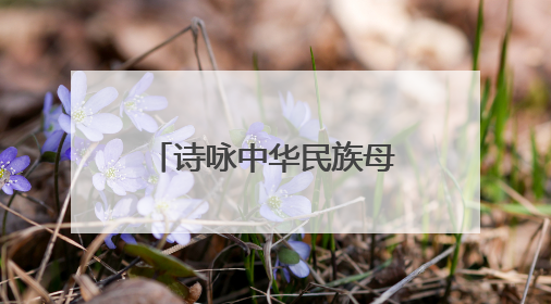 诗咏中华民族母亲河，端午诗会在宜昌秭归举行