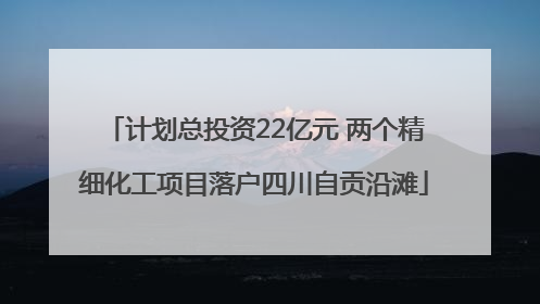 计划总投资22亿元 两个精细化工项目落户四川自贡沿滩