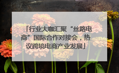 行业大咖汇聚“丝路电商”国际合作对接会，热议跨境电商产业发展