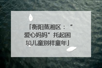 衡阳蒸湘区：“爱心妈妈”托起困境儿童别样童年