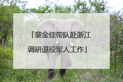 裴金佳带队赴浙江调研退役军人工作