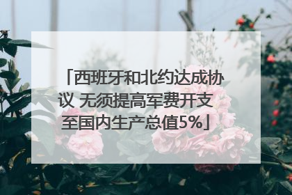 西班牙和北约达成协议 无须提高军费开支至国内生产总值5%