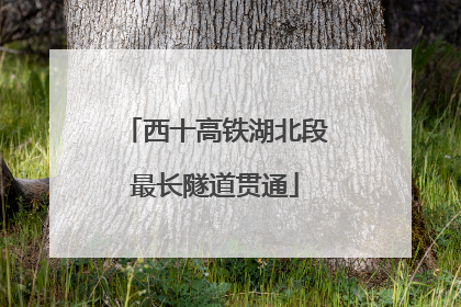 西十高铁湖北段最长隧道贯通