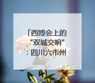 西博会上的“双城交响”：四川六市州共展成渝协同发展画卷｜西博视界