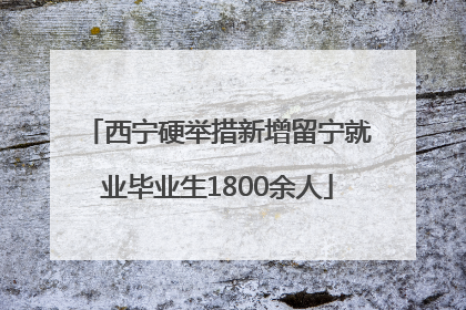 西宁硬举措新增留宁就业毕业生1800余人