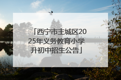 西宁市主城区2025年义务教育小学升初中招生公告