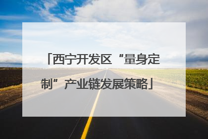 西宁开发区“量身定制”产业链发展策略