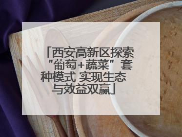 西安高新区探索“葡萄+蔬菜”套种模式 实现生态与效益双赢