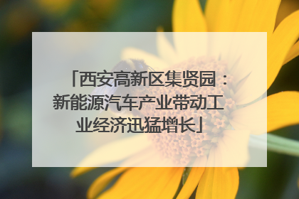 西安高新区集贤园：新能源汽车产业带动工业经济迅猛增长