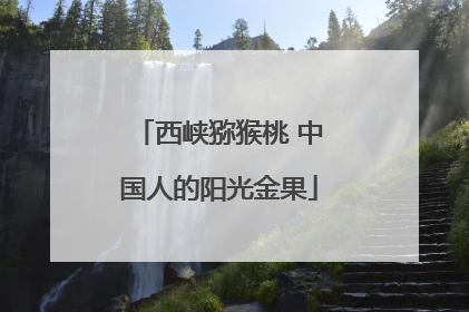 西峡猕猴桃 中国人的阳光金果