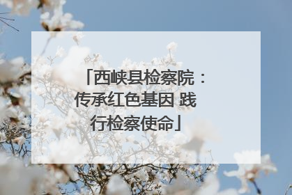 西峡县检察院：传承红色基因 践行检察使命