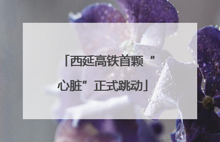 西延高铁首颗“心脏”正式跳动