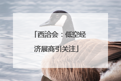 西洽会：低空经济展商引关注